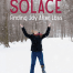 new cover for seeking solace large print book