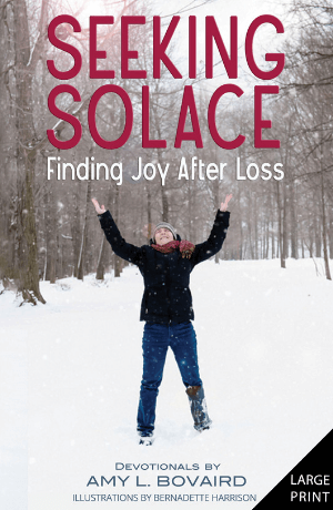 image of cover of seeking solace
