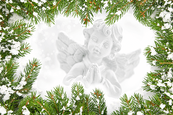 winter angel with snow covered pine border